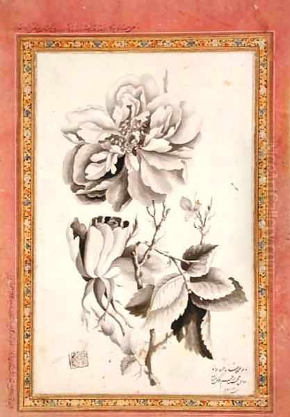 Rose - view 1