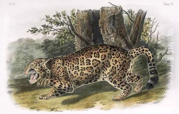The Jaguar - view 1