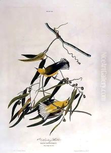 Prothonotary Warbler, from 'Birds of America'