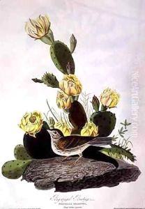 Bay-Winged Bunting, from 'Birds of America' by John James Audubon