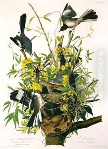 Mocking Birds and Rattlesnake, from 'Birds of America' 2 by John James Audubon