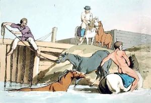 Bathing Horses by John Augustus Atkinson