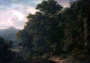 View of Powerscourt Demesne