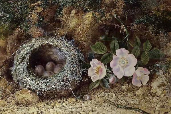 Bird nest and briar roses - view 1