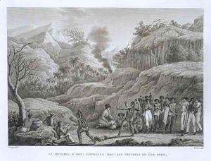 Great Asian Archipelago French explorers with natives on the Island of Ombai by Jacques Etienne Victor Arago