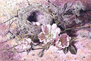 Blossom and Bird's Nest by Helen Cordelia Coleman Angell