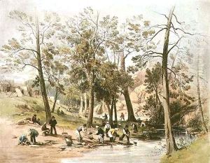 Gold washing, Fitzroy Bar, Ophir diggings