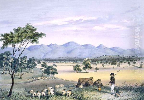 Lynedoch Valley looking towards the Barossa Range - view 1