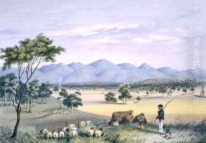 Lynedoch Valley looking towards the Barossa Range