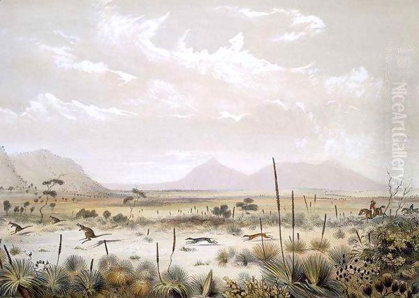Kangaroo Hunting near Port Lincoln, from 'South Australia Illustrated' - view 1