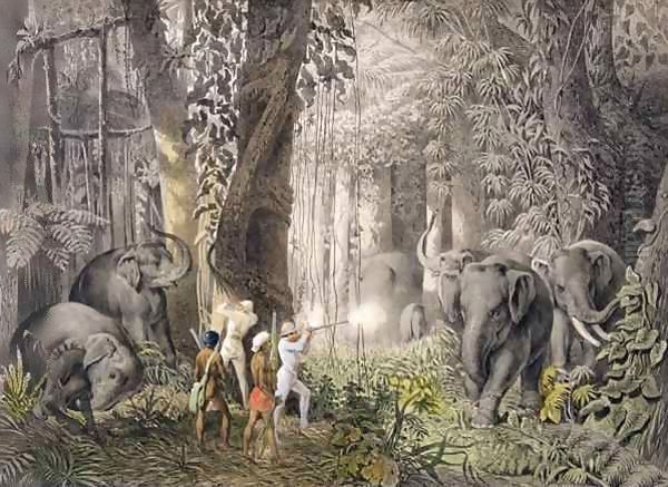 Elephant hunt in the region of Logalla, from 'Travels of Prince Emanual Andrasy in Eastindian Ceylon, Java, China and Bengal' - view 1