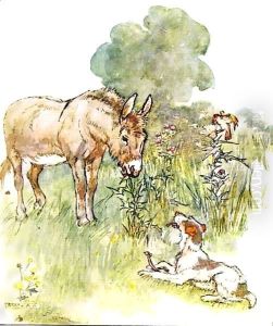 Had a talk to Ponto who came to my field with a bone