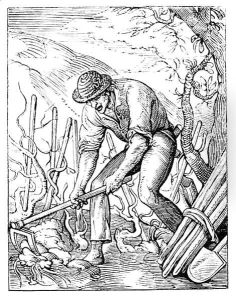 The Winegrower The Winegrower