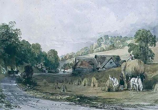 Haymaking at Ashurst, Surrey - view 1