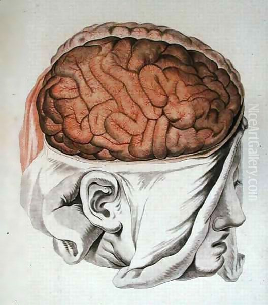 The Brain, from 'Traite d'Anatomie de Cerveau' - view 1