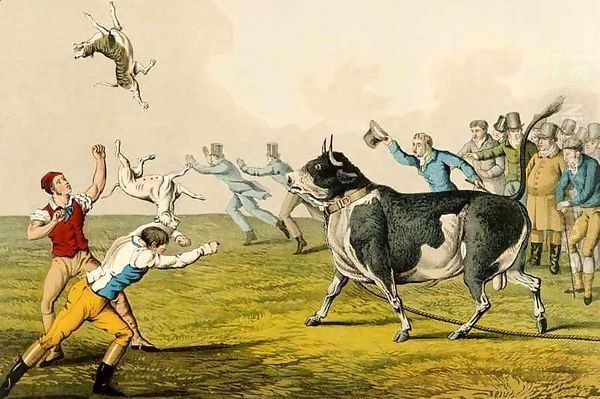 Bull Baiting - view 1