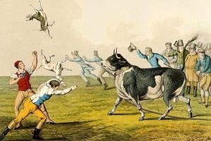 Bull Baiting