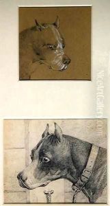 Head and shoulders of a boxer dog by Henry Thomas Alken