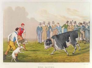 Bull Baiting 2 by Henry Thomas Alken