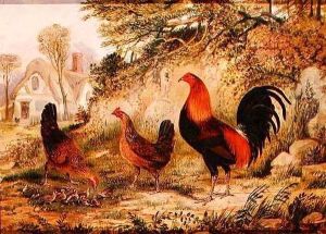 Cockerel, Hens and Chicks by Henry Thomas Alken