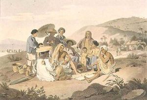 A Group of Cochin Chinese