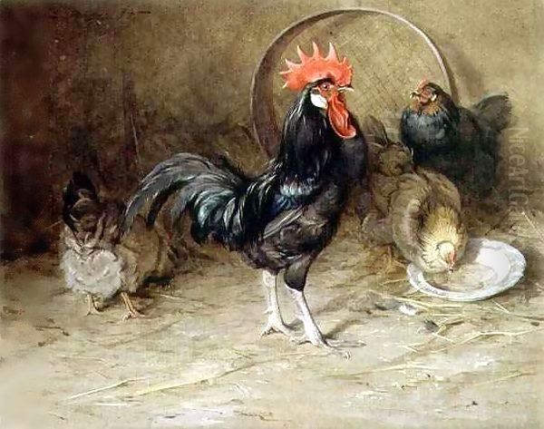 The Rooster - view 1