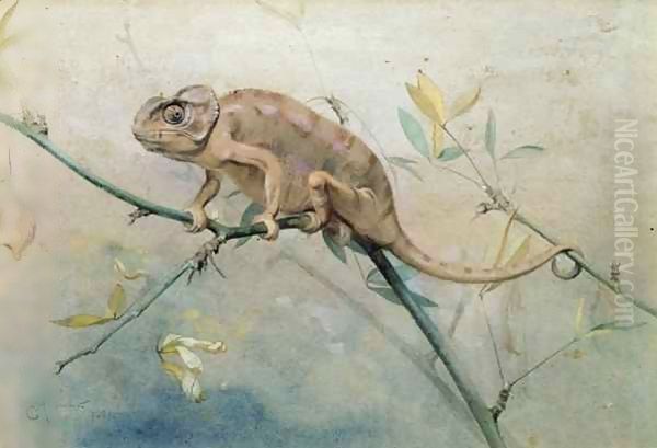 Chameleon - view 1