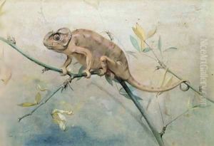 Chameleon Chameleon