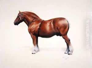 A champion Suffolk Punch by Cecil Charles Aldin