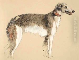 Borzoi Borzoi