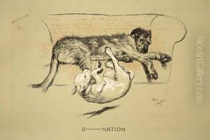 D--nation by Cecil Charles Aldin