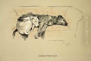 Gravitation Gravitation