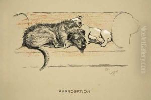 Approbation Approbation