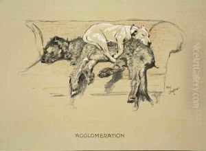 Agglomeration