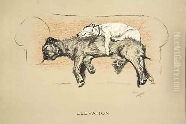 Elevation - view 1