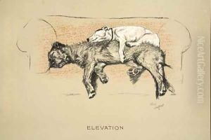 Elevation thumbnail