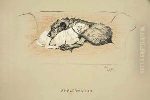 Amalgamation by Cecil Charles Aldin