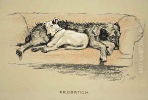 Probation by Cecil Charles Aldin