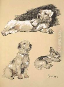 Terriers by Cecil Charles Aldin