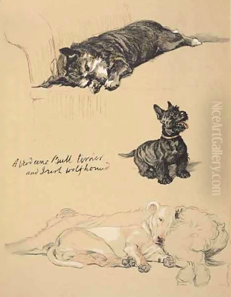 Aberdeens, Bull-Terrier and Irish Wolfhound - view 1