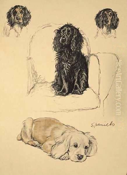 Spaniels - view 1