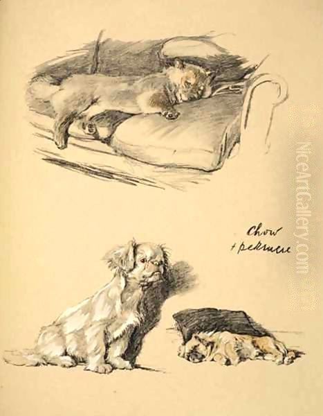 Chow and Pekinese - view 1