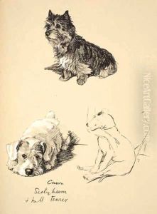 Cairn, Sealyham and Bull Terrier by Cecil Charles Aldin