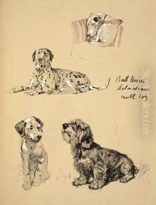 Bull Terrier, Dalmatians and Mutt Dog by Cecil Charles Aldin