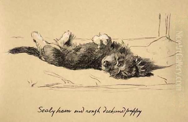 Rough Daschund Puppy Detail - view 1