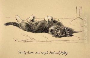Rough Daschund Puppy Detail by Cecil Charles Aldin