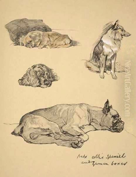 Peke, Collie, Spaniel and German Boxer - view 1
