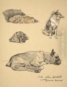 Peke, Collie, Spaniel and German Boxer by Cecil Charles Aldin