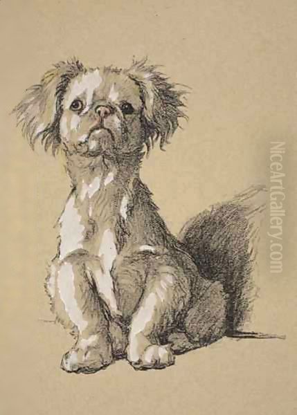Peke - view 1