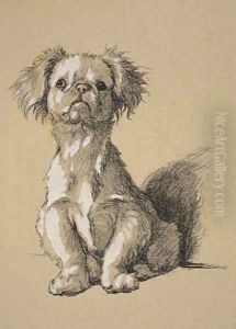 Peke by Cecil Charles Aldin